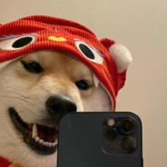 内向的人从不外设