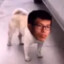 路边一条🐶