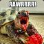 ZombieTurtle