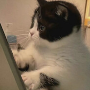 难过美人关东煮