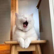 她好似昏昏欲睡