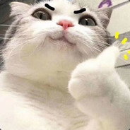 我是个刺客 刺客 刺客啊