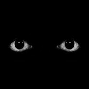 Dark Sovereign