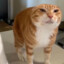 KindHamburger631