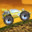 Dune Buggy