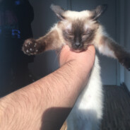 偷得浮生半日闲丶