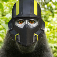 Perdora