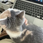 广元西路烤地瓜