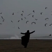 红烧肘子烧花鸭麻婆豆腐小龙虾