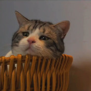 "Lᴀʏ ᴅᴏᴡɴ."