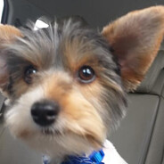 Sasankka - steam id 76561198845358922