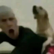 Донор интеллекта