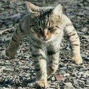 把你安排的明明白白