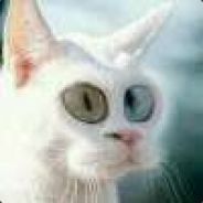 Arcor|030_Willi (DE) - steam id 76561197964495097