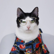 我是一条小金鱼