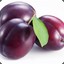 PLUM [rus]