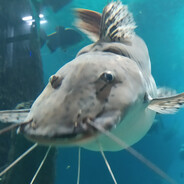 Филе_трески