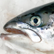 селёдка под шубой