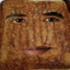 Grilled Cheese Obama Sandwich