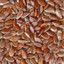 Flax Seeds