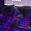 (っ◔◡◔)っ ♥ TRUSKAWKA