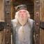 Albus Doubledoors