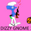 DizzyGnome24