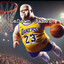 ♿ LeDown James♿