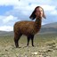 ALPACAGE