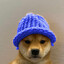 d3ny the dog
