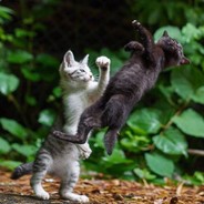 手残党自闭症晚期