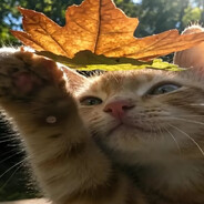 pie