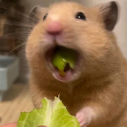 小怡祝朋友们安好