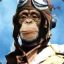 Monkey~Pilot