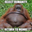 mongeh?