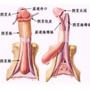 为什么被电自己没数吗