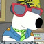 Dingo