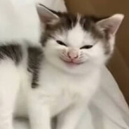 rara