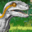 WhiteRaptor58