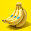 Mr_Banana