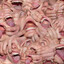 gor