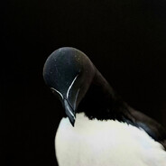 !’am invincible ecstazy - steam id 76561199379975472