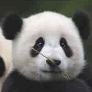 中路别送，我真的带不