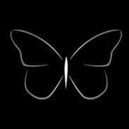 ss55 - steam id 76561199522914861