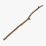 Twig