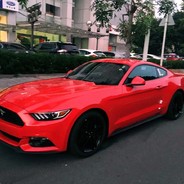 总有刁民想射朕