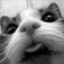 Marv