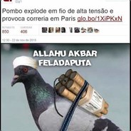Pombo Islãmico