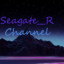 Seagate__R