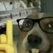 她说这是武装色